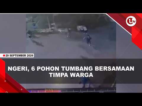 POHON 40 METER TUMBANG MENIMPA WARGA BOGOR, 4 ORANG LVKA-LVKA | U-NEWS