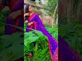 ମୋତେ ଭାରି ଭଲ ଲାଗିଲା......🤗🧿✨#shorts #youtubeshorts #oldodiasongs #trending #viral #saree #asthetic