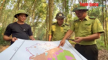 Ứng dụng công nghệ số trong quản lý, bảo vệ rừng