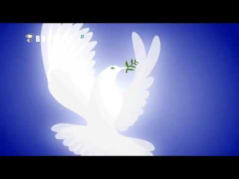 Βίντεο: Γιατί το περιστέρι συμβολίζει την ειρήνη;