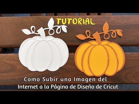 Video: Cómo filtrar subreddits en una computadora PC o Mac: 4 pasos