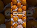 Video Image