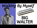 Walking By Myself (Big Walter) harmonica lesson