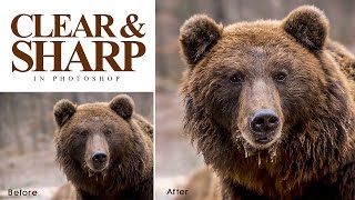 How to Get Clear & Sharp Images in Photoshop [Photoshopdesire.com]