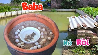 Thành Công Rồi Baba Của Mình Đã Nở - Đánh Cá Kiếm Mồi Cho Nó Ăn Thôi / Quế Nghịch