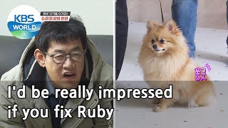 I'd be really impressed if you fix Ruby (Dogs are incredible) | KBS WORLD TV 210310