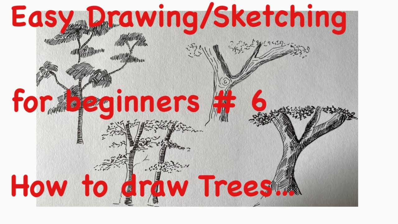 Easy Drawing/ Sketching for beginners # 6 … How to draw Trees ….Pen ...
