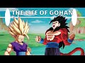 The Life of Gohan (Dragon Ball)