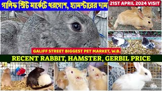 Recent Rabbit, Hamster, Gerbil Price|গালিফ স্ট্রিট খরগোশ মার্কেট |Galiff Street Market W.B.|21/04/24 by AMAR 2020 619 views 1 day ago 9 minutes