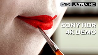 4K Demo Real 4K Hdr Sony Demo Bravia Master Series Japan 4K Hdr 60Fps