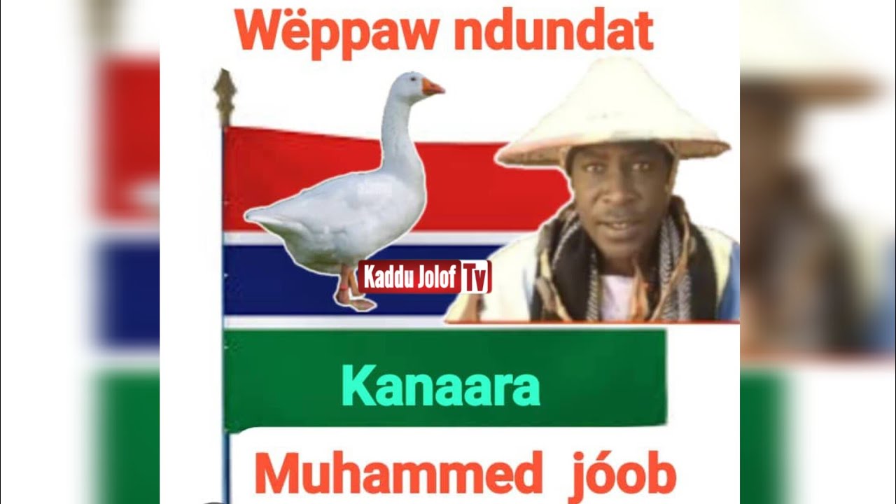 Culture Animaux : Wëppaw Ndunat | kanaara avec Mouhamed joop Historien farafégné Gambie Sénégal
