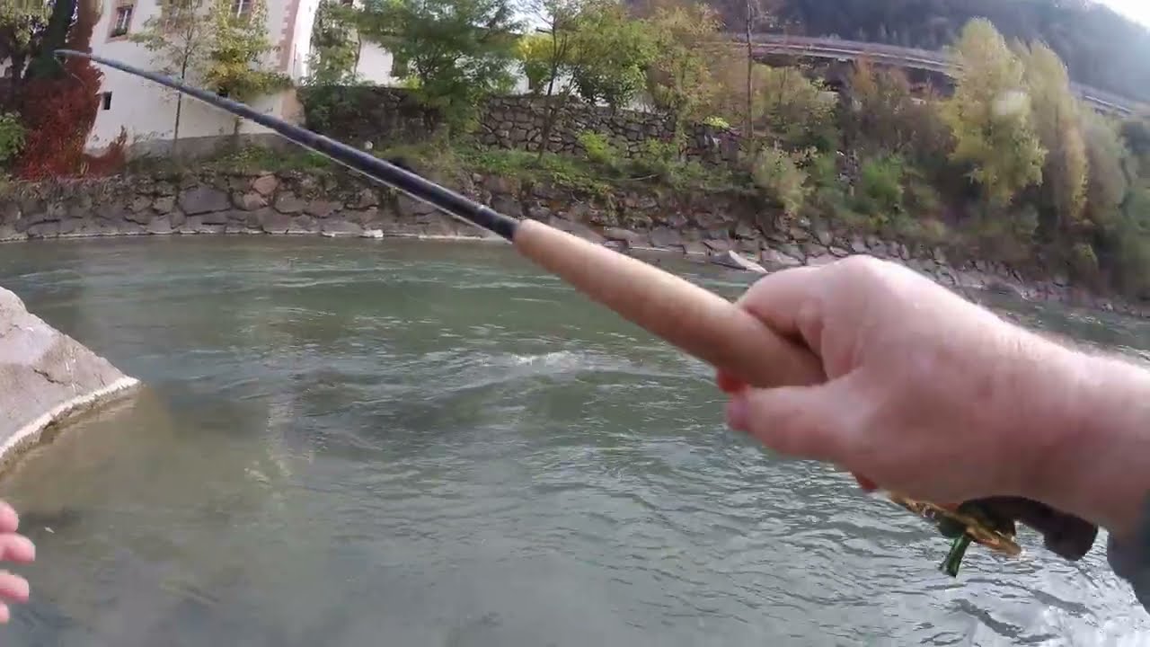 Aurino & Piccolo Isarco 2025 - Tosta ma bello