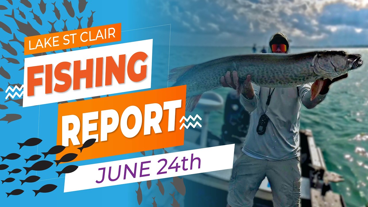 Lake St. Clair Fishing Report | June 24th