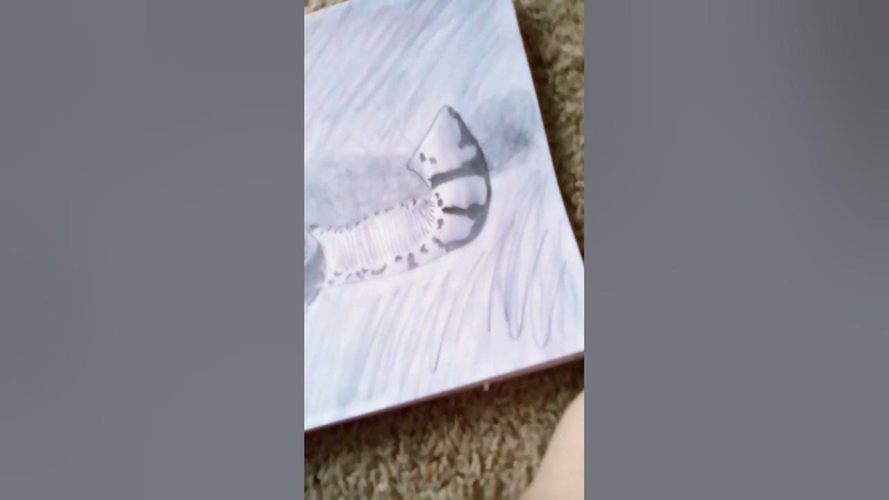 tryed to draw a ball python 🐍 - YouTube