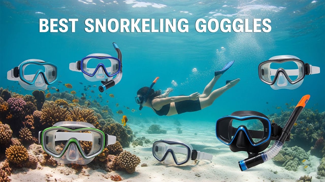 TOP 5 Best Snorkeling Goggles 2026 | Top rated snorkel masks