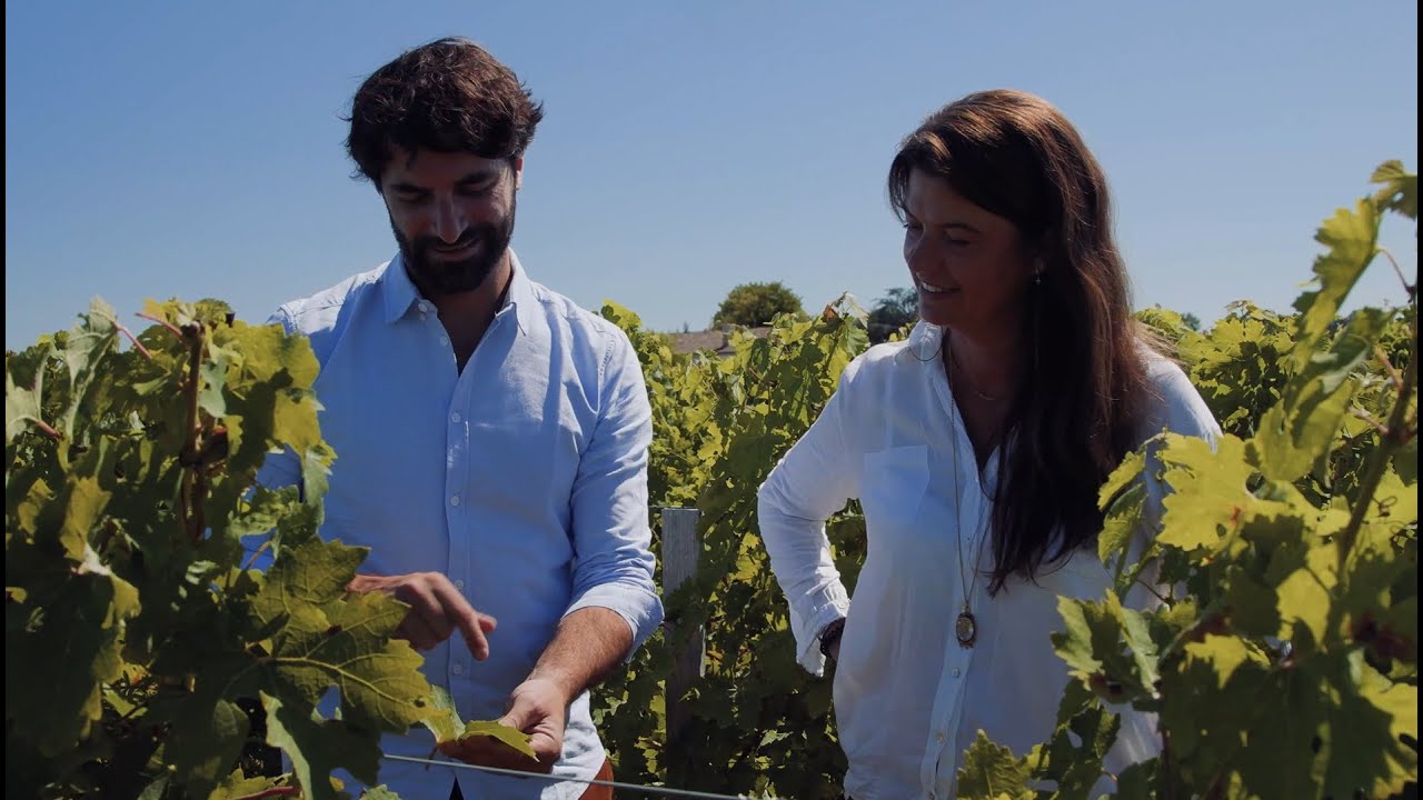 メドックのアペラシオン