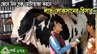 172 জেনে নিন গরু মোটাতাজা করনে লাভ লোকসানের হিসেব।Find out the loss of fat loss in cow fat screenshot 3