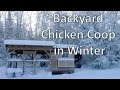 Backyard Chicken Coop in Winter