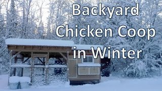 This shows our backyard chicken coop in winter near Thunder Bay, Ontario. We built this in the spring of 2015. My wife and 