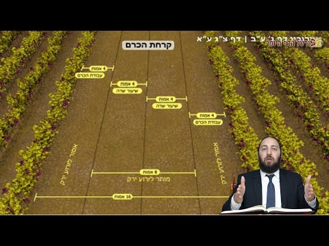 עירובין צג א - Youtube