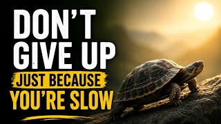 DON’T GIVE UP JUST BECAUSE YOU’RE SLOW | The Turtle Mindset