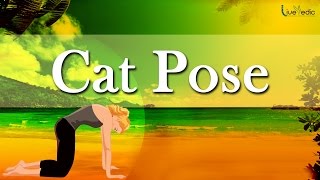 Cat Pose / Marjaryasana - Yoga For Women 