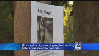 Dog, Spooked By Fireworks, Runs Away From Rockland Home