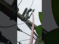 arcing cut out #lineman #automobile #highlights #electricity #pobrenglineman