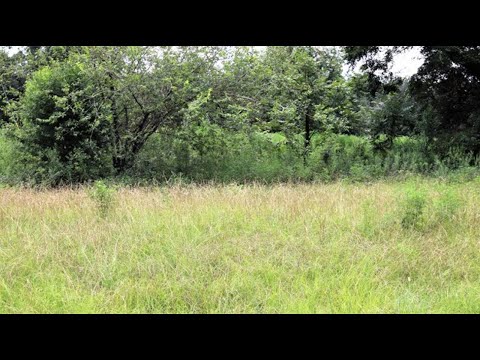 6210 Newton Road, Albany, GA home video tour