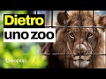 Come funziona uno zoo in regola e da dove arrivano gli animali? Sfatiamo alcuni luoghi comuni