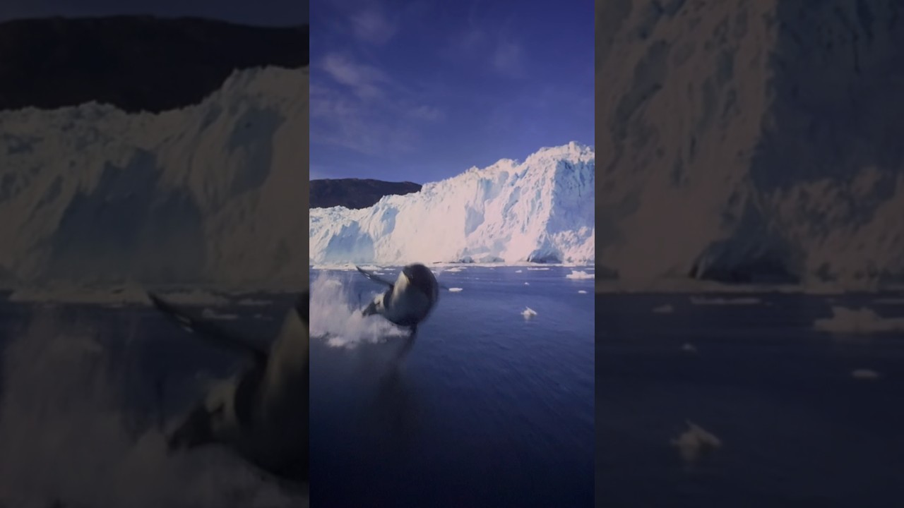 Travel Whole World in 30 seconds 