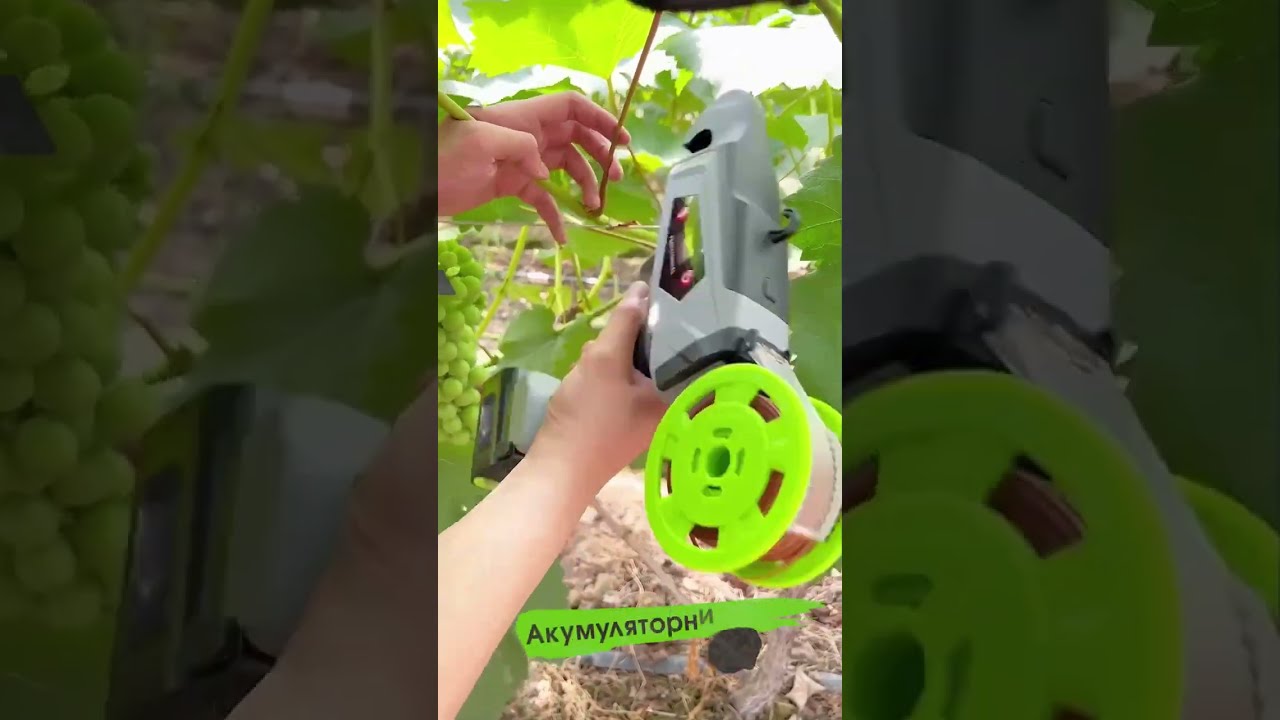 Степлер для підв'язки винограду автоматичний LOSSO SC-9601: продаж