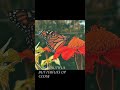 🦋 Butterfly Paradise | Stunning Butterflies in Nature’s Beautiful Gardens🦋