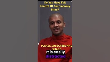 Do You Have Full Control Of Your Monkey Mind? #shorts #meditation #mindfulness #wisdom #buddha