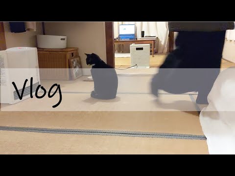 【アラフィフ独身女／一人暮らし】平日Vlog／仕事始めの日／くら寿司