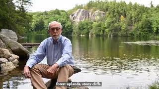 Better Know District 4 Barrington Stonehouse Pond