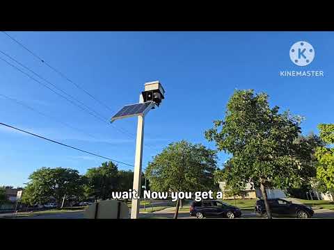 Spotted this siren today at a park nearby...