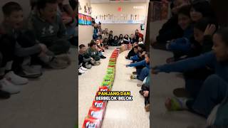 Efek Domino Terpanjang Yang Pernah Ada