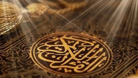 تلاوة عراقية جميلة من سورة يونس مقام الرست  حدي القارئ علي الامير