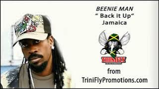 Beenie Man - Back it Up