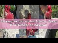 Recensione del adidas Adizero Speed 8 AC Scarpe da baseball con tacchetti Softball