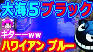 ハワイアンブルー再び♪の巻『大海５ブラック』