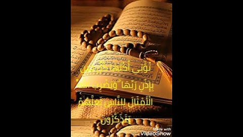 سورة  إبراهيم اية رقم 25
