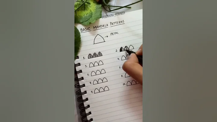 Basic Mandala patterns🌸 #basics #mandalabasics #mandalapatterns #patterns #mandala #beginner #easy
