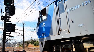 EF210-135 99ﾚ 2024.2.3 東海道鶴見川橋梁