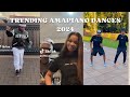 Best of amapiano dance challenges | 2024