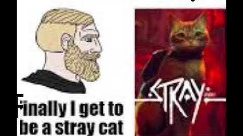 my graphics card can