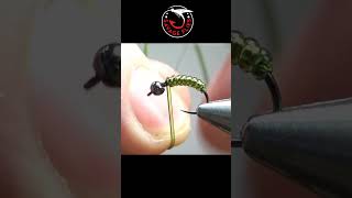 Green Rock Worm (caddis pupa) #flytying