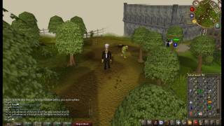 Runescape HD quality test