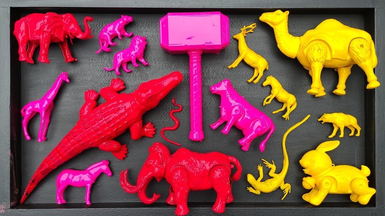 Membersihkan hewan sapi, bebek, angsa, ayam, gajah, simpanse, singa, unta, buaya, kangguru